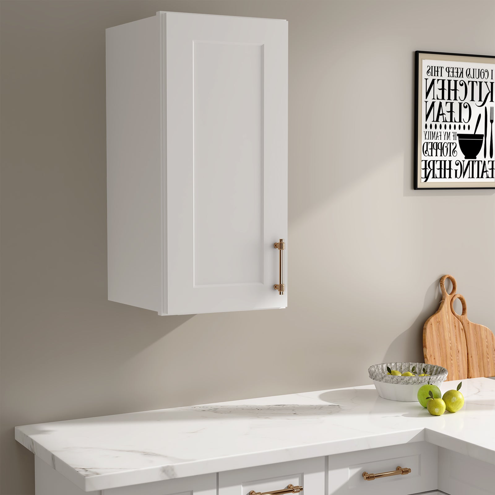W Series Wall Cabinet with 1 Door and shelves-4