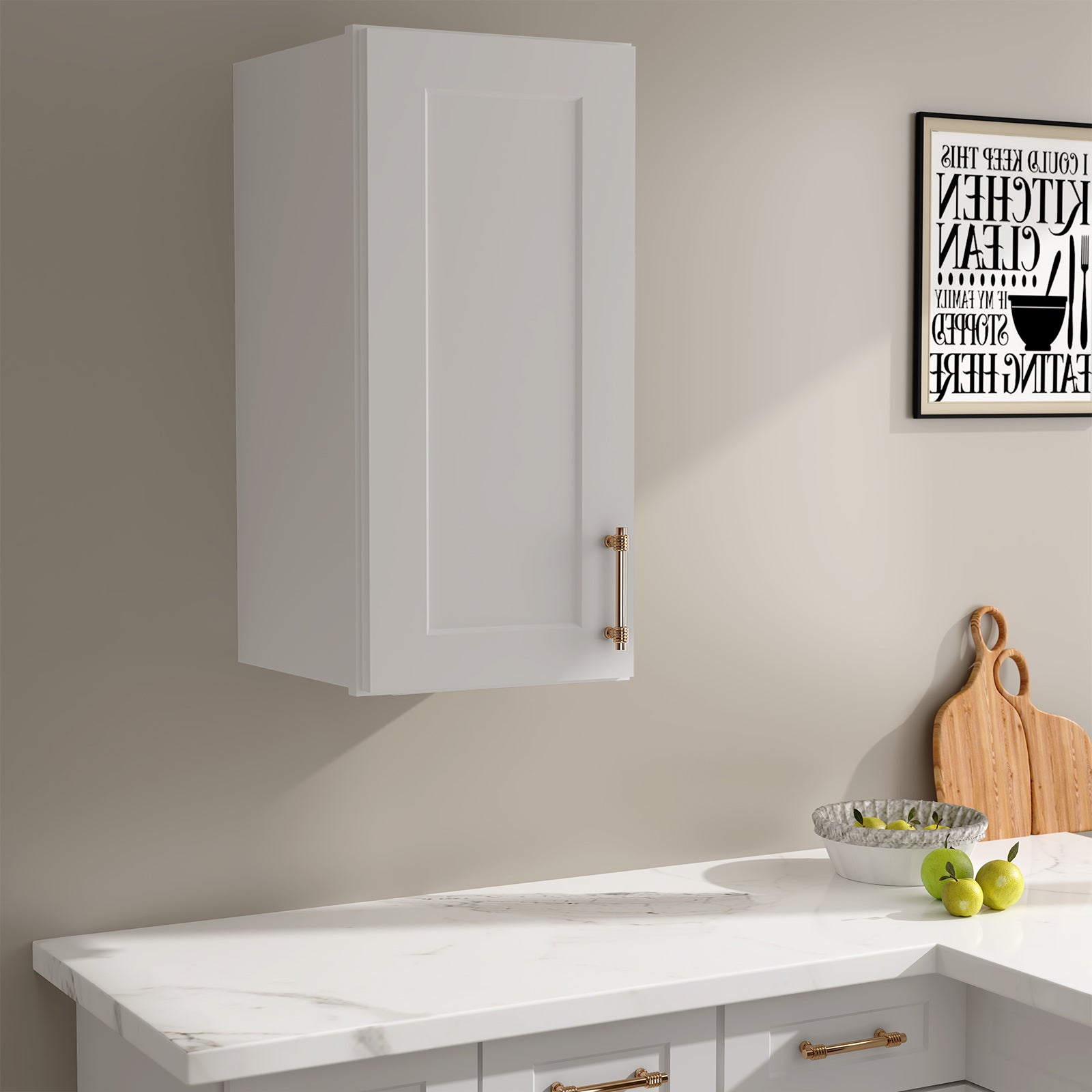 W Series Wall Cabinet with 1 Door and shelves-4