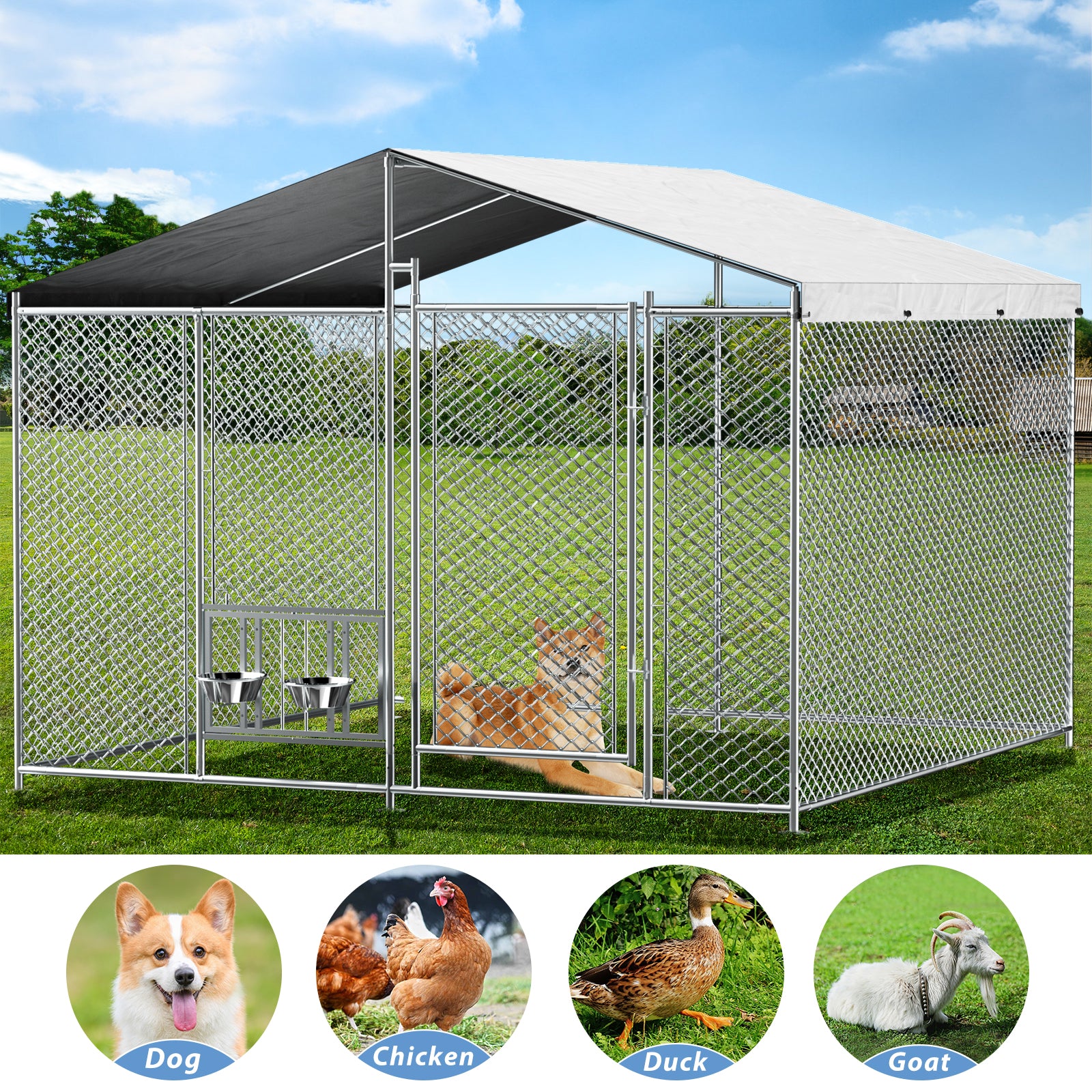 Outside Dog Kennel with Roof
