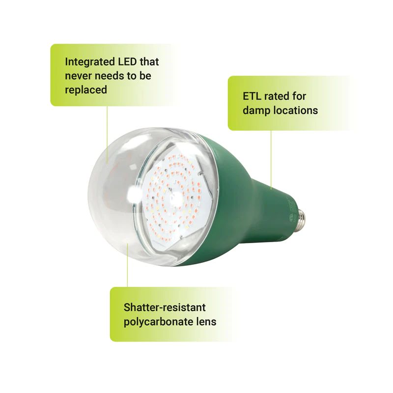 40-Watt E26 52.54 PPF Wide Spectrum Grow Light Bulb with E26 Base for Plant Growing, a Light Bulb Included (4-Pack)