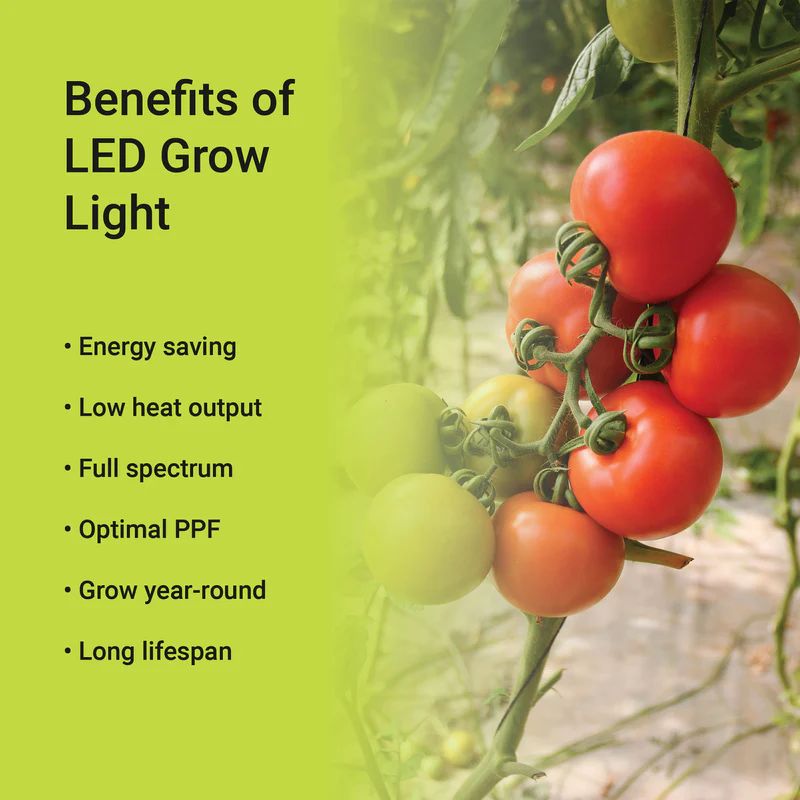 40-Watt E26 52.54 PPF Wide Spectrum Grow Light Bulb for Plant Growing, a Light Bulb Included, Easy Installation(4-Pack)