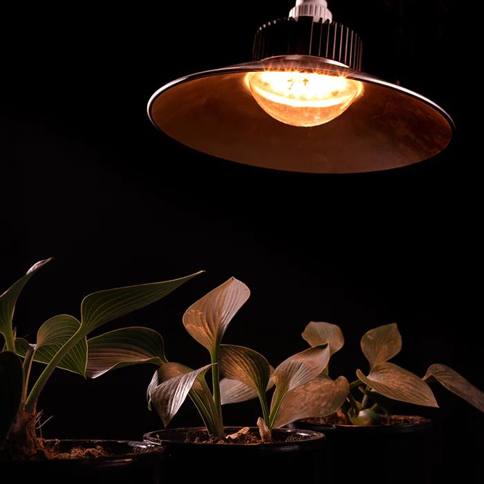 9.75 in. 1-Light 33 -Watt 28.22 PPF LED White Grow Light with Shade and an E26 Base for Plant Growth (3-Pack)