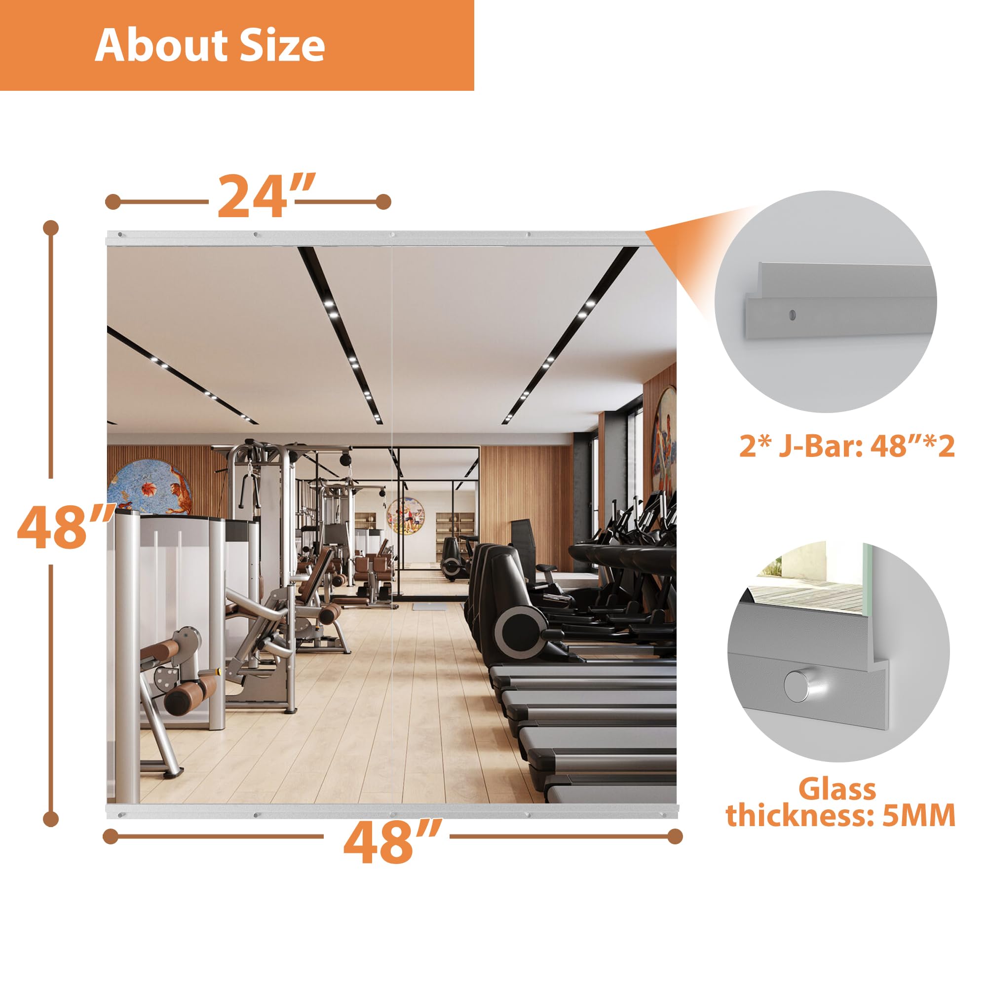 2-Pieces Polished 24 in. W x 48 in. Modern Rectangular Tempered Glass Wall Mirror