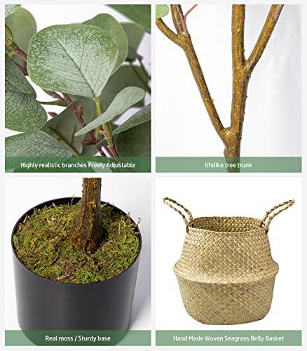 6ft Artificial Tree with Woven Seagrass Plant Basketand Realistic Moss,Artificial Plants for Modern Home Office Living Room Floor Decor (70 in) (D-Eucalyptus Tree) Buylikepro