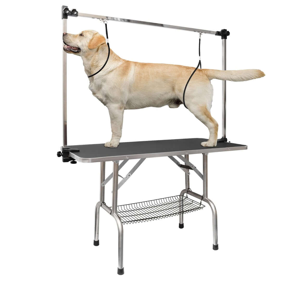 https://buylikepro.com/cdn/shop/products/Dog-Grooming-Table-with-Arm-Noose-Mesh-Tray-Buylikepro-30.jpg?v=1687155529